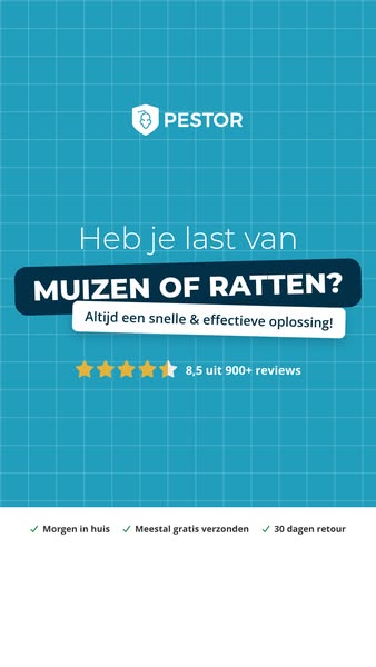 Wacht niet tot het te laat is!