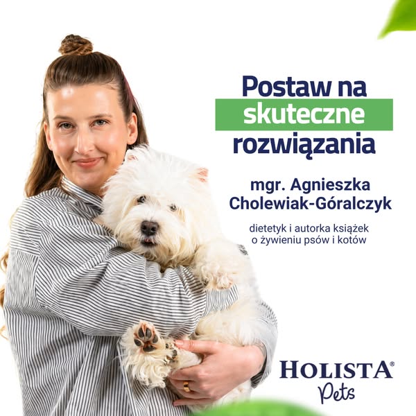 Postaw na skuteczne rozwiązania
