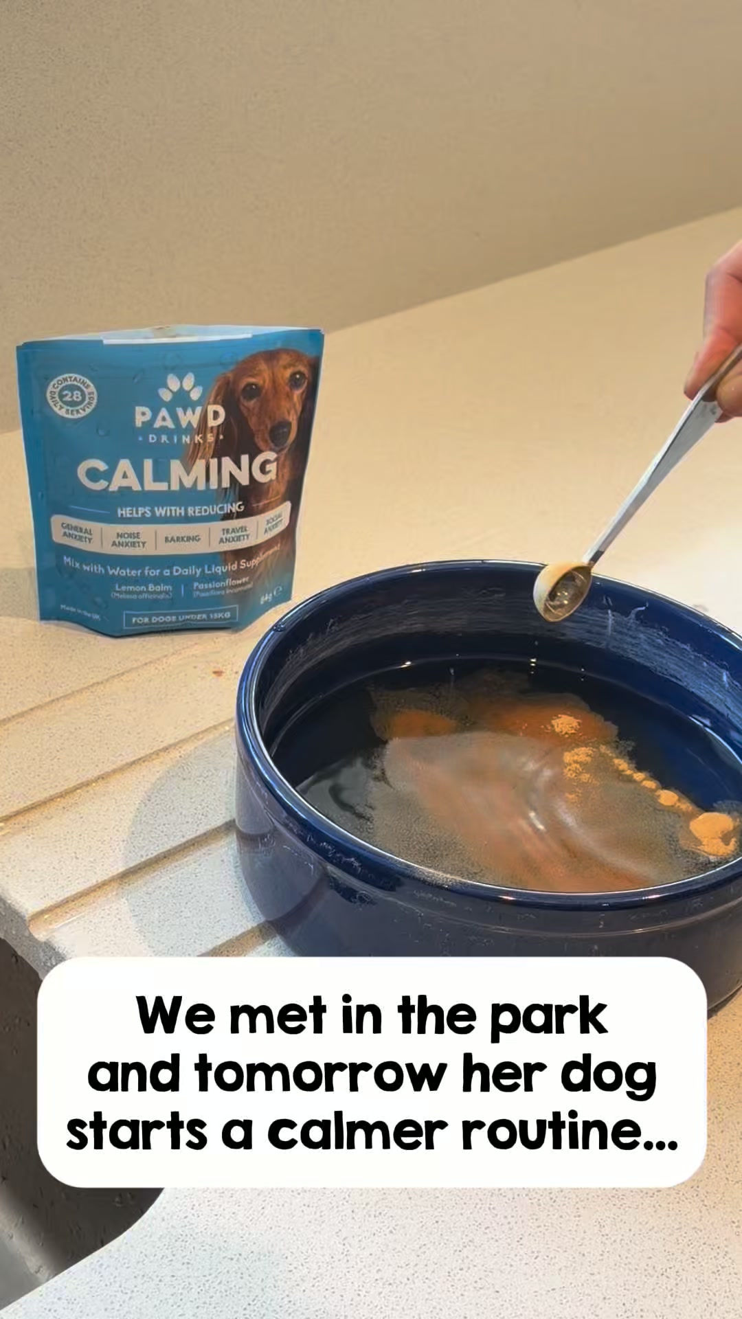 Daily Calm for Anxious Dogs