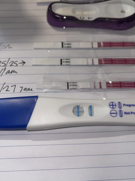 Read This If You've Perfected Ovulation