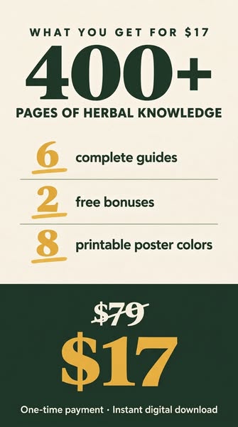 The Library Behind Every Herbal Routine