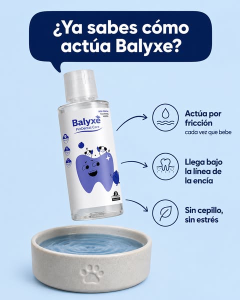 Oferta especial de Balyxe