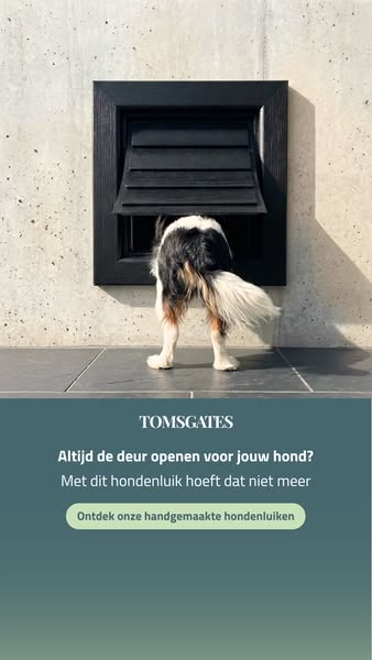 Meer gemak voor jou en je hond