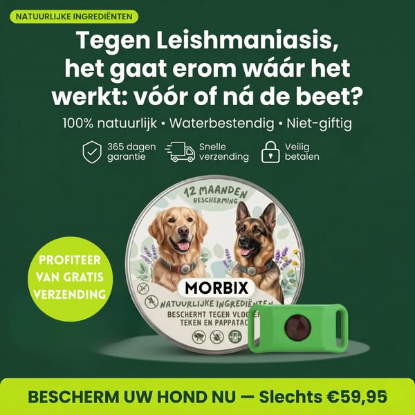 Je hond wacht nog steeds op je