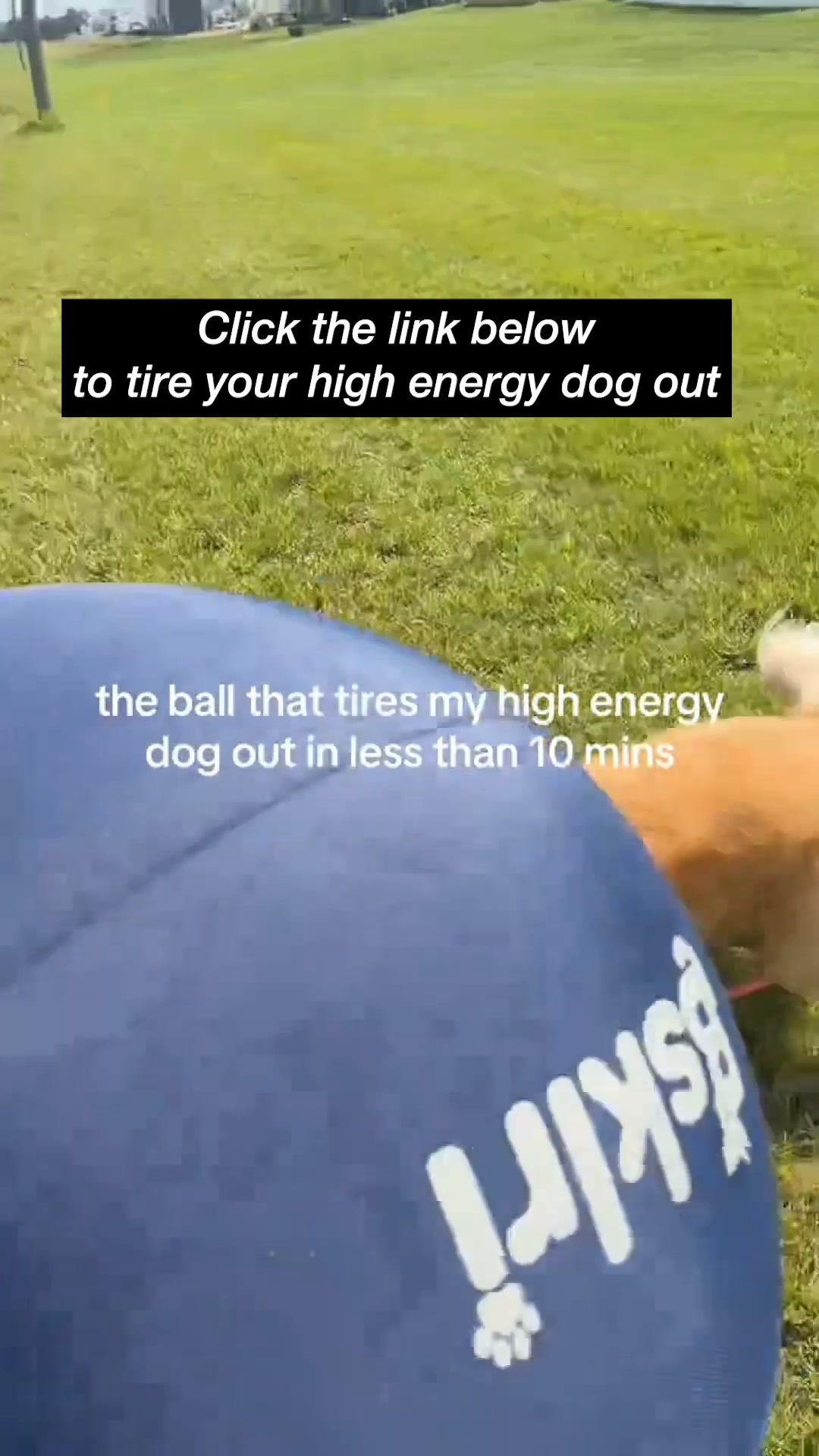 The Ball That Finally Gets Them To Settle
