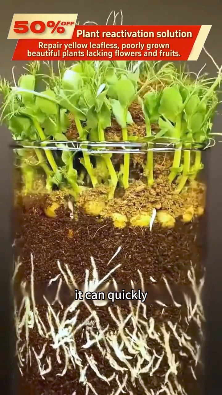 Plant and Flower Activation Liquid Solution