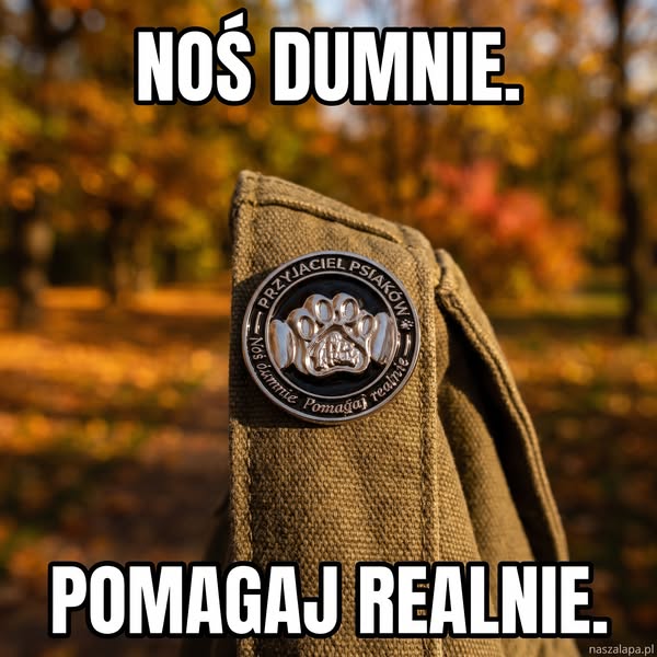 10 posiłków w każdej paczce