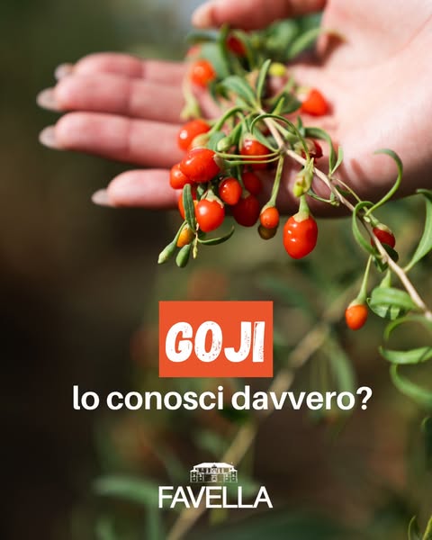 Favella