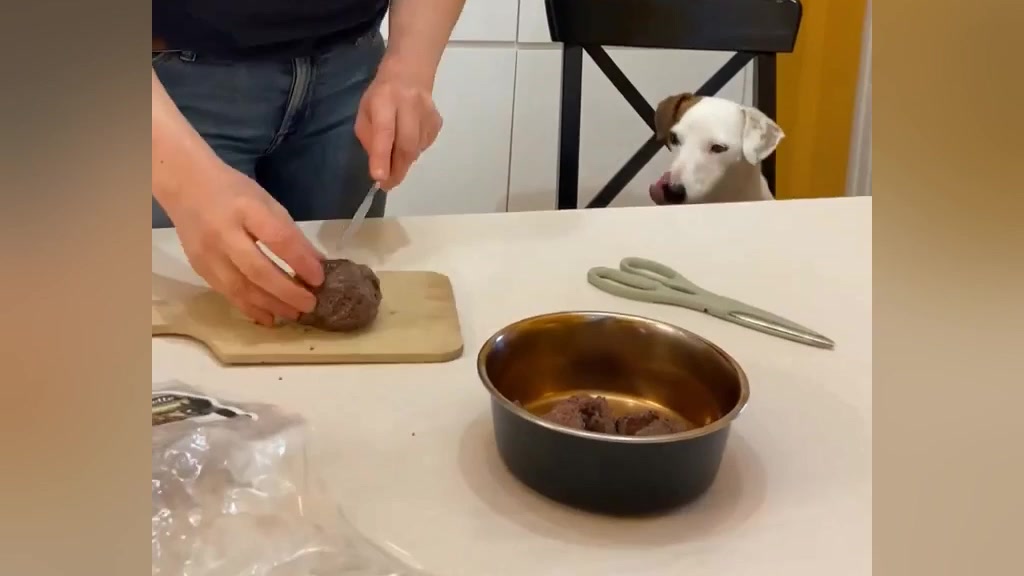 7€ pour d'excellentes boulettes pour chiens