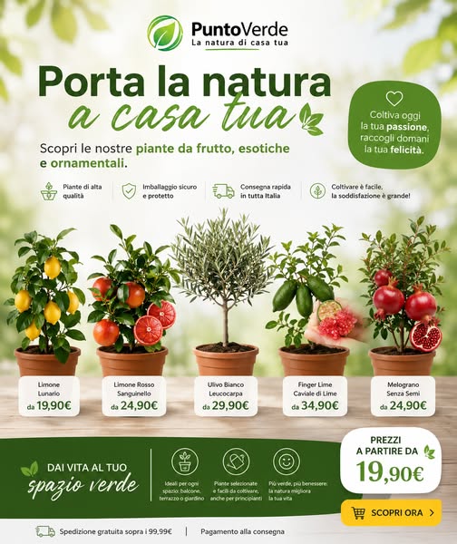 Anúncio de Punto Verde