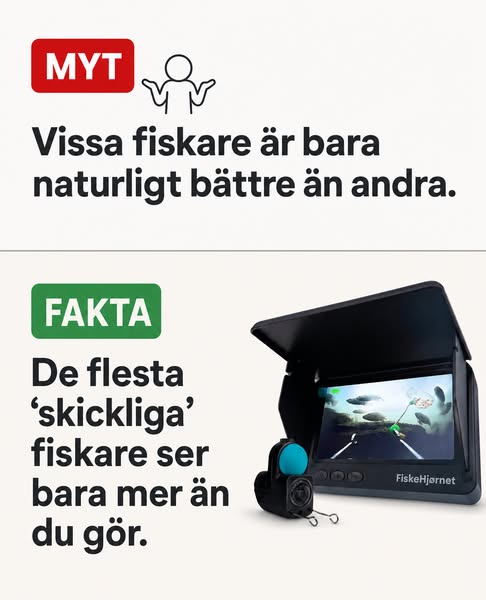 Se fisken innan du kastar