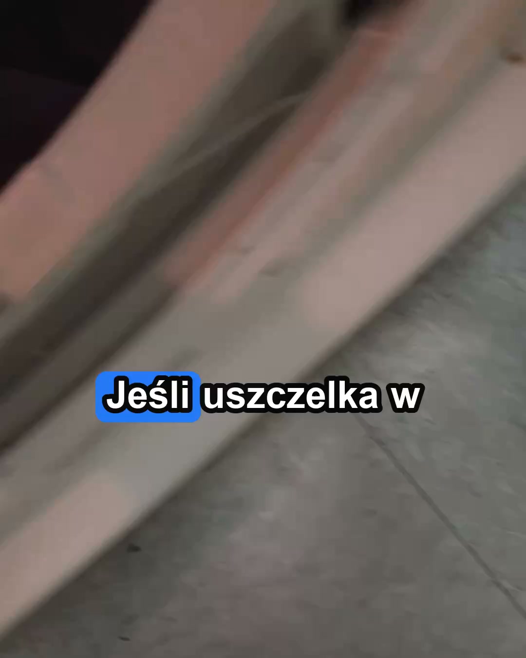 Sposób mojego dziadka na zapach mokrego psa