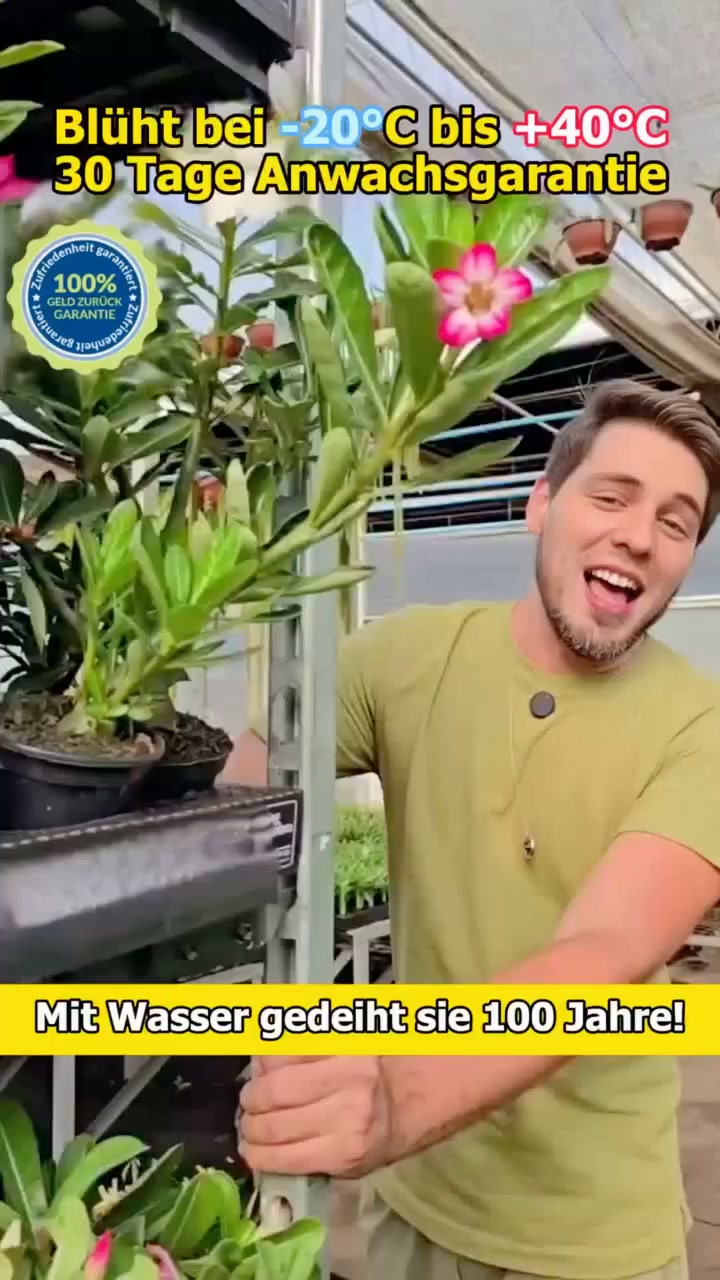 Mein Nachbar dachte, ich hätte sie aus dem Botanischen Garten!