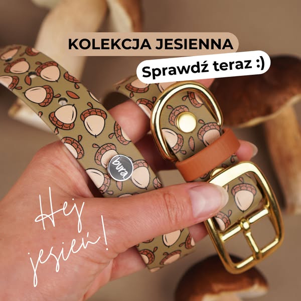 Jesienny set dla Twojego psa