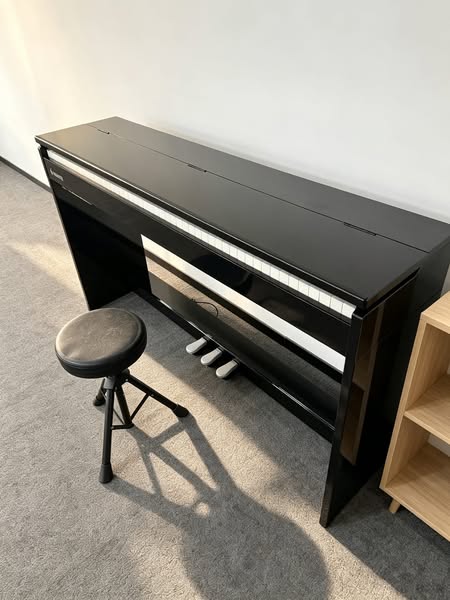 Claviers & pianos