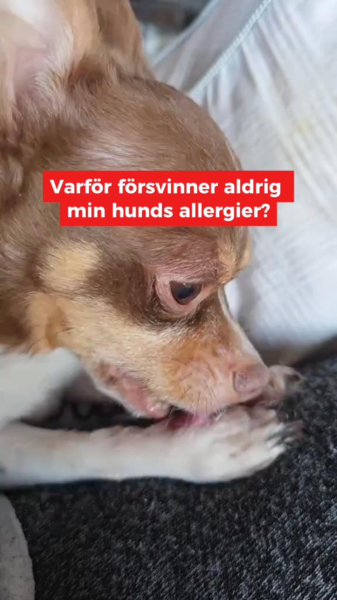 Svampinfektioner slutar inte förrän du fixar det här.�