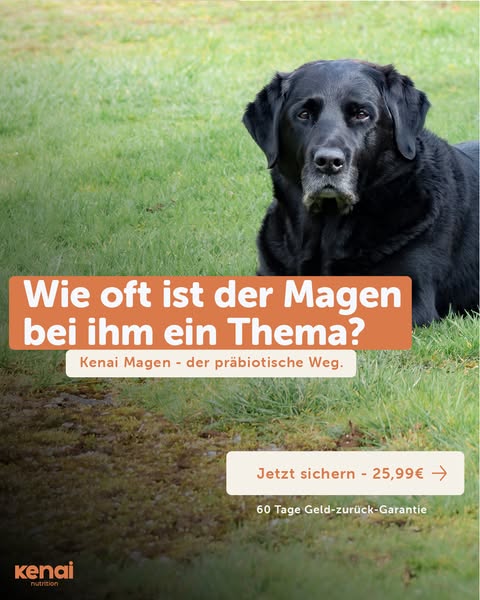 Für die normale Verdauung – jeden Tag