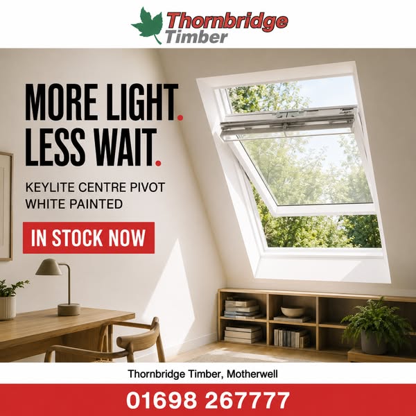 Need Roof Windows Fast?