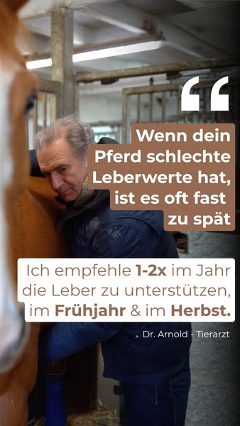 Denke an die Leber deines Pferdes
