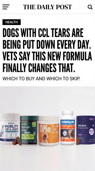 Your Dog's Knee Can Heal Without Surgery. Here's What's Been Missing.