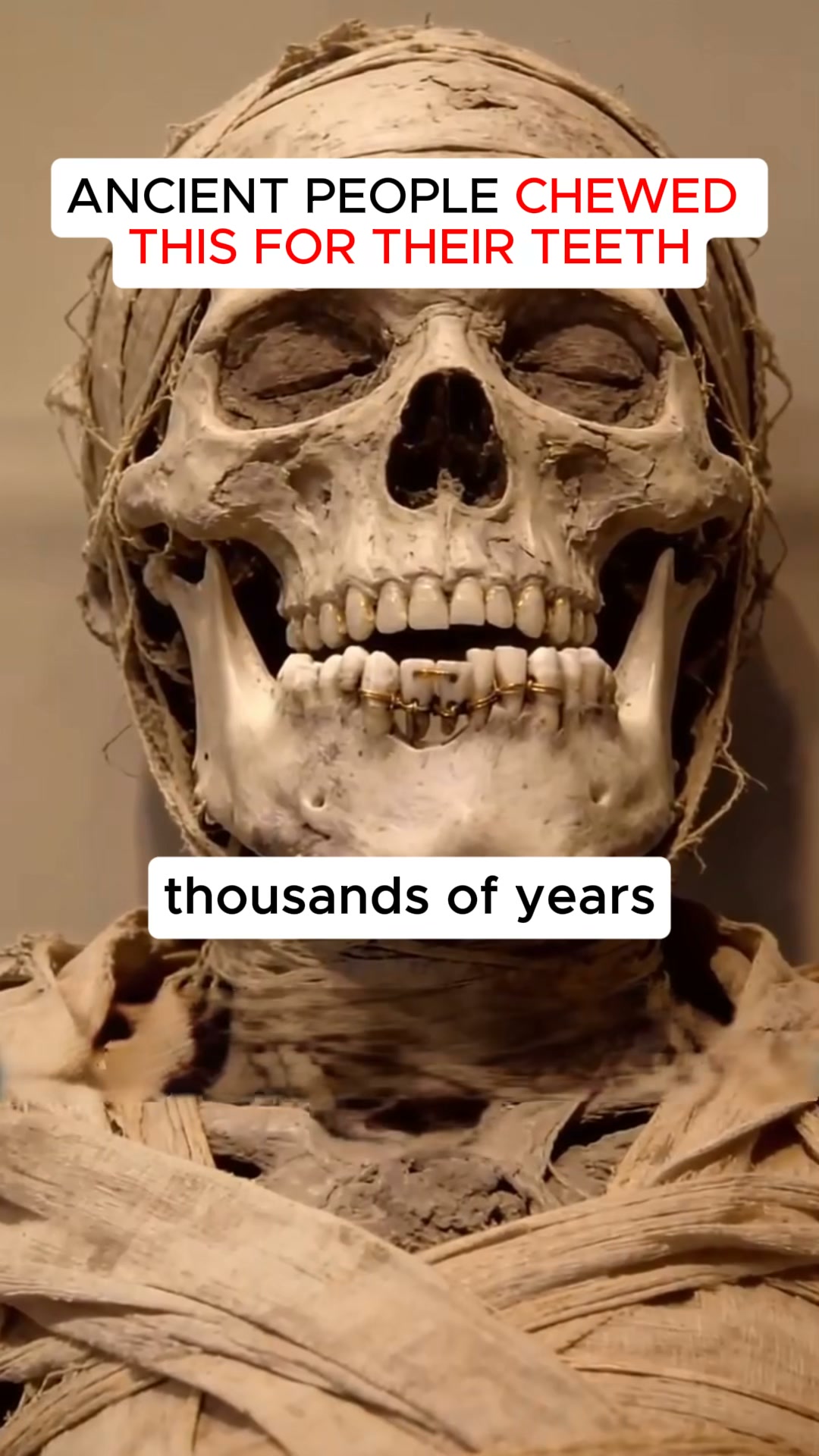 Whiter Teeth Now