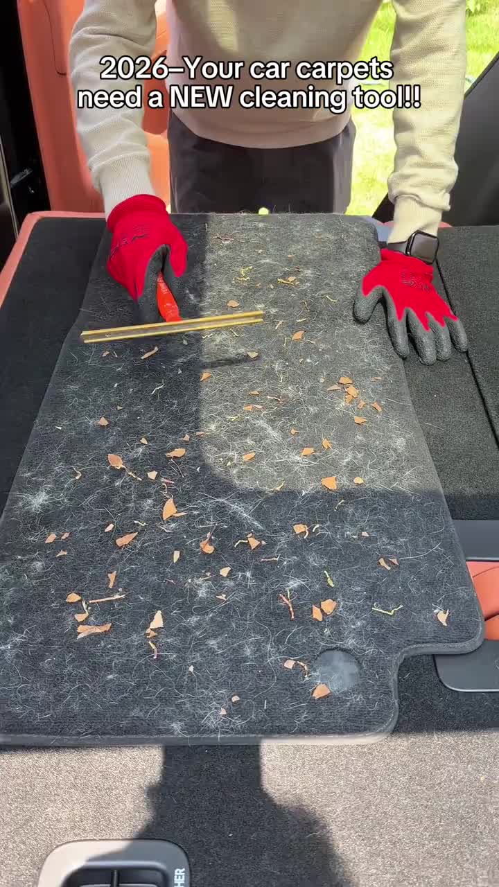 Carpet Hair Scraper​