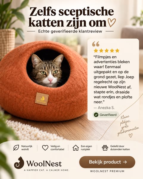 De kattenmand die de doos verslaat.