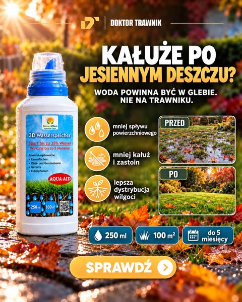 Kałuże na trawniku? Działaj przed zimą!