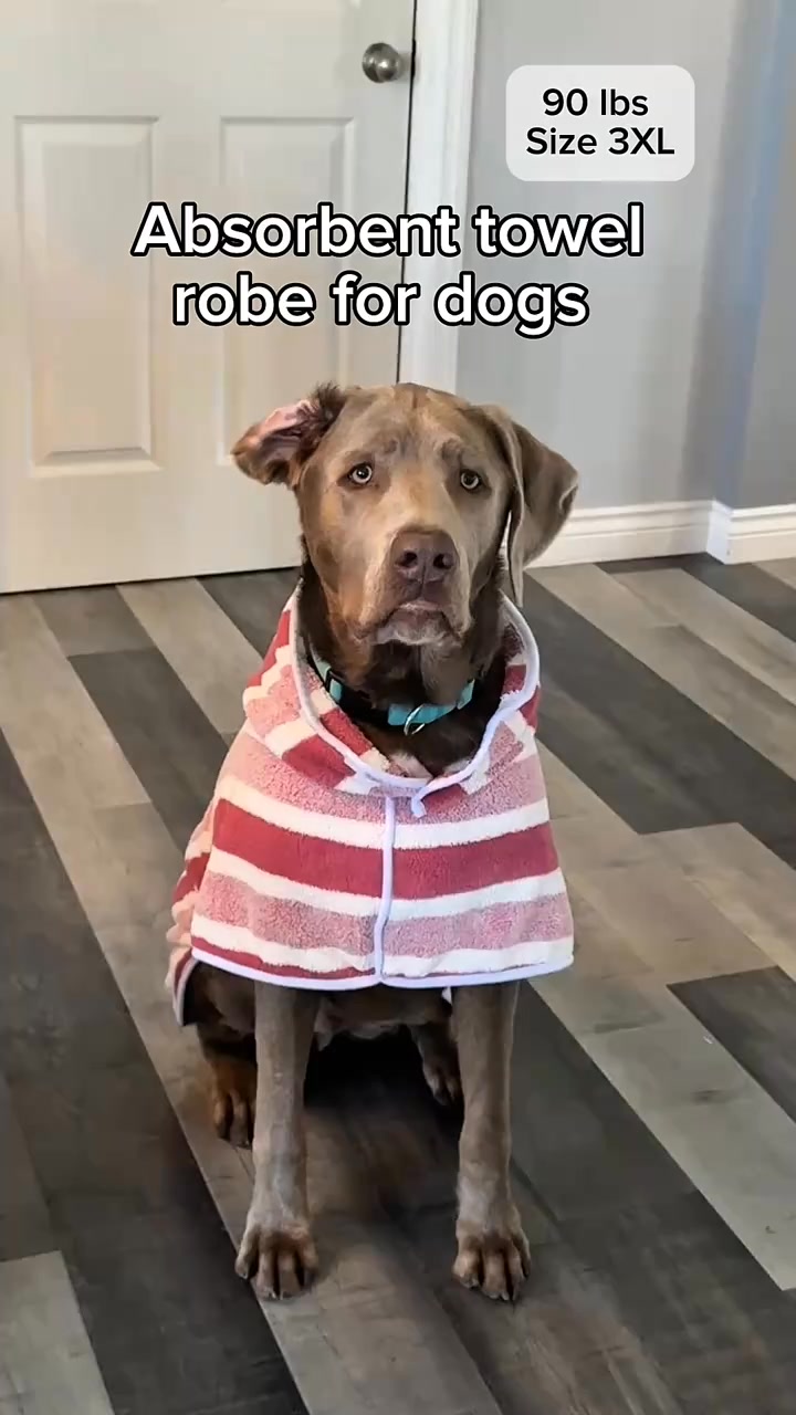 Dry Your Pet in Minutes