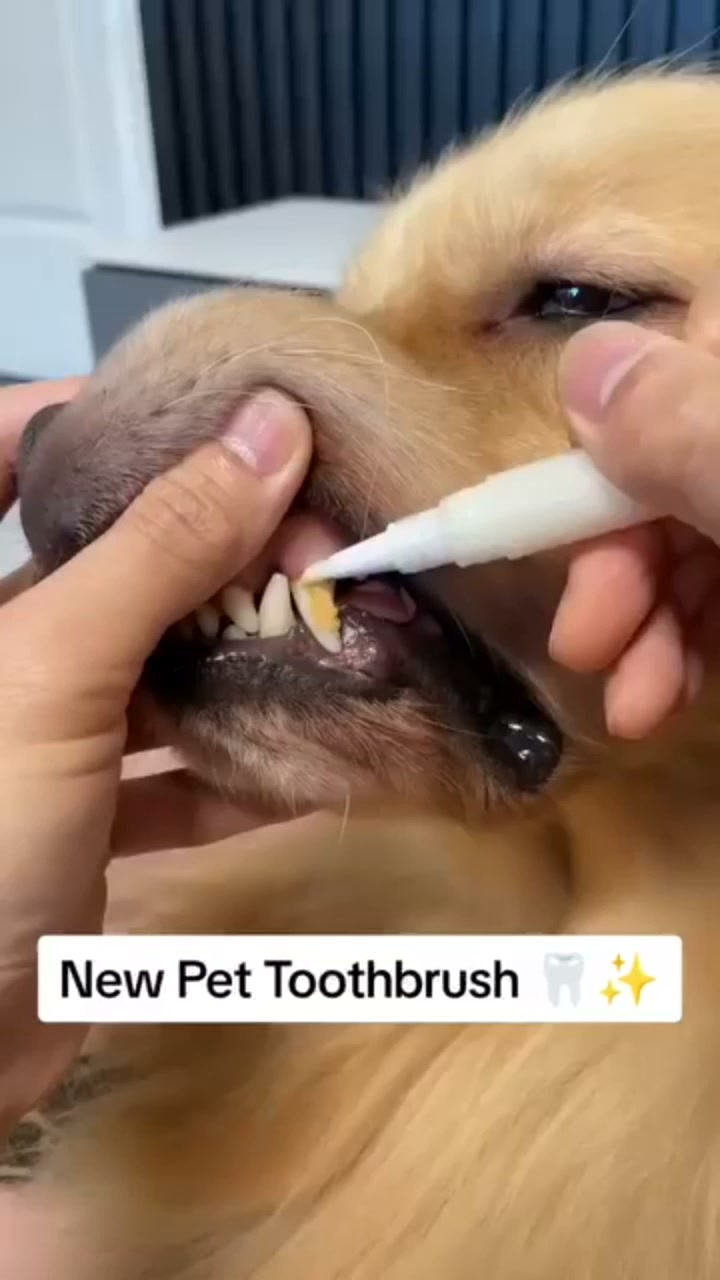 Recommended Products