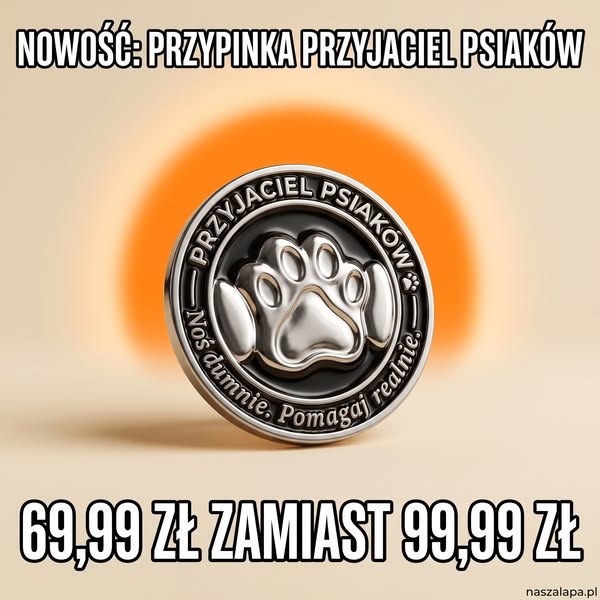 10 posiłków w każdej paczce