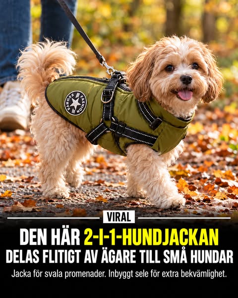 Se erbjudandet