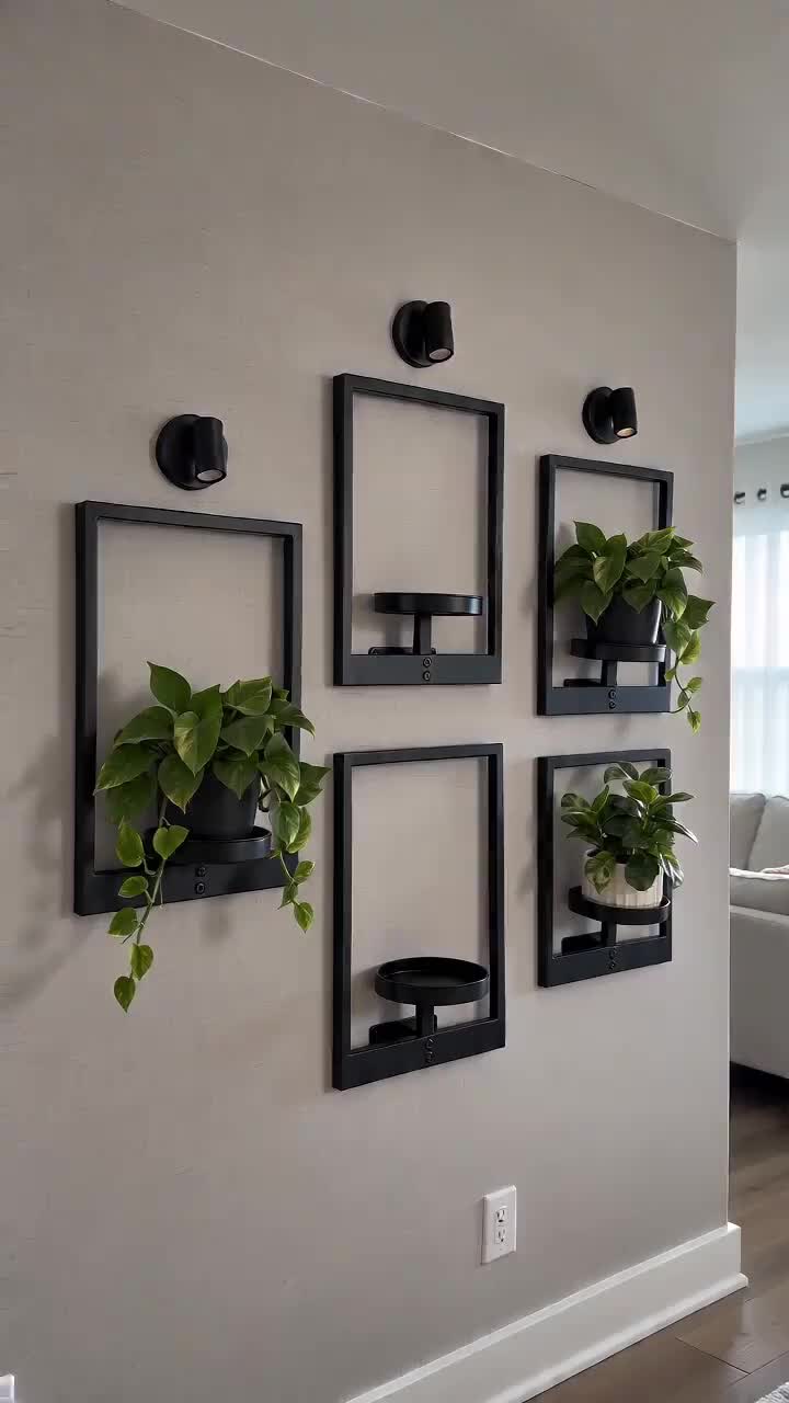 Wall-Mounted Display Shelf