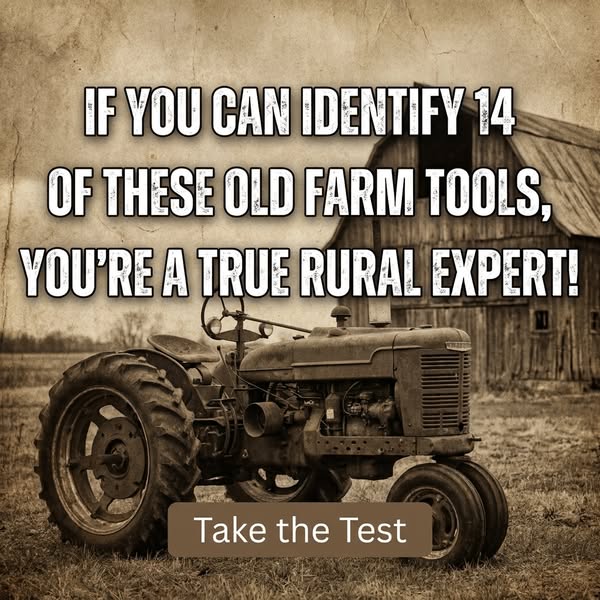 Old Farm Life