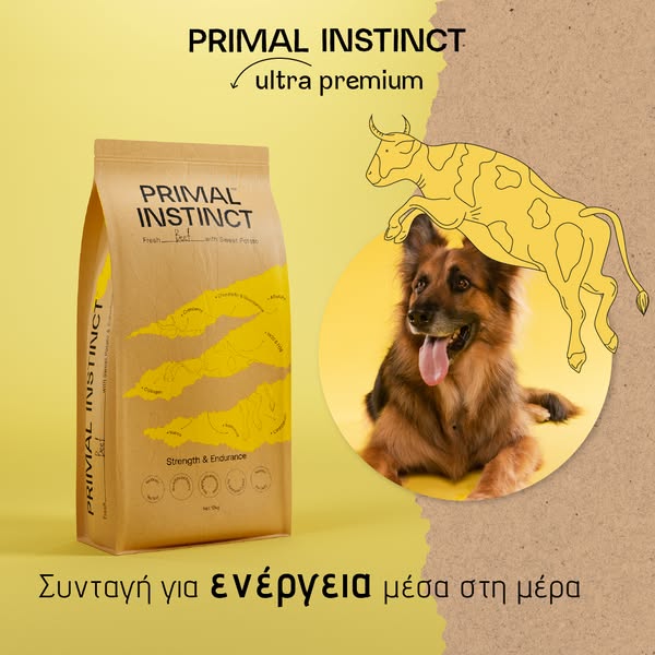 Ανακάλυψέ την εδώ