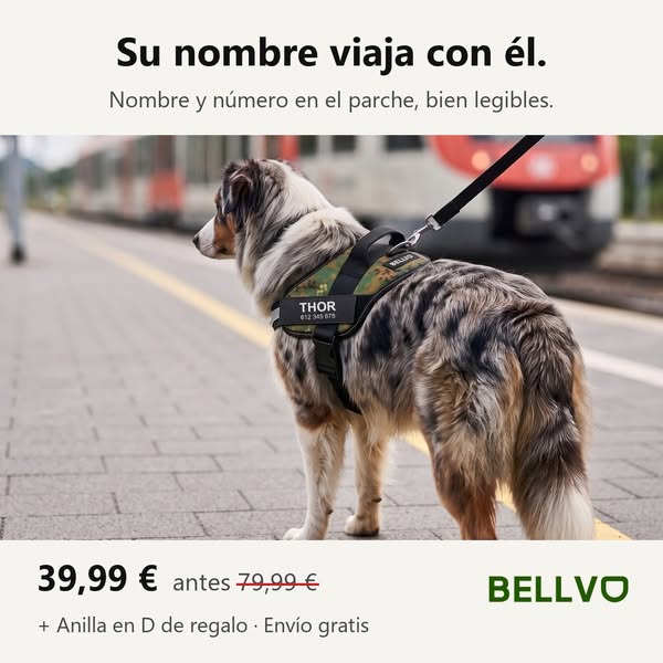 Nuestro mayor descuento