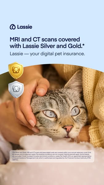 Insure your pet today