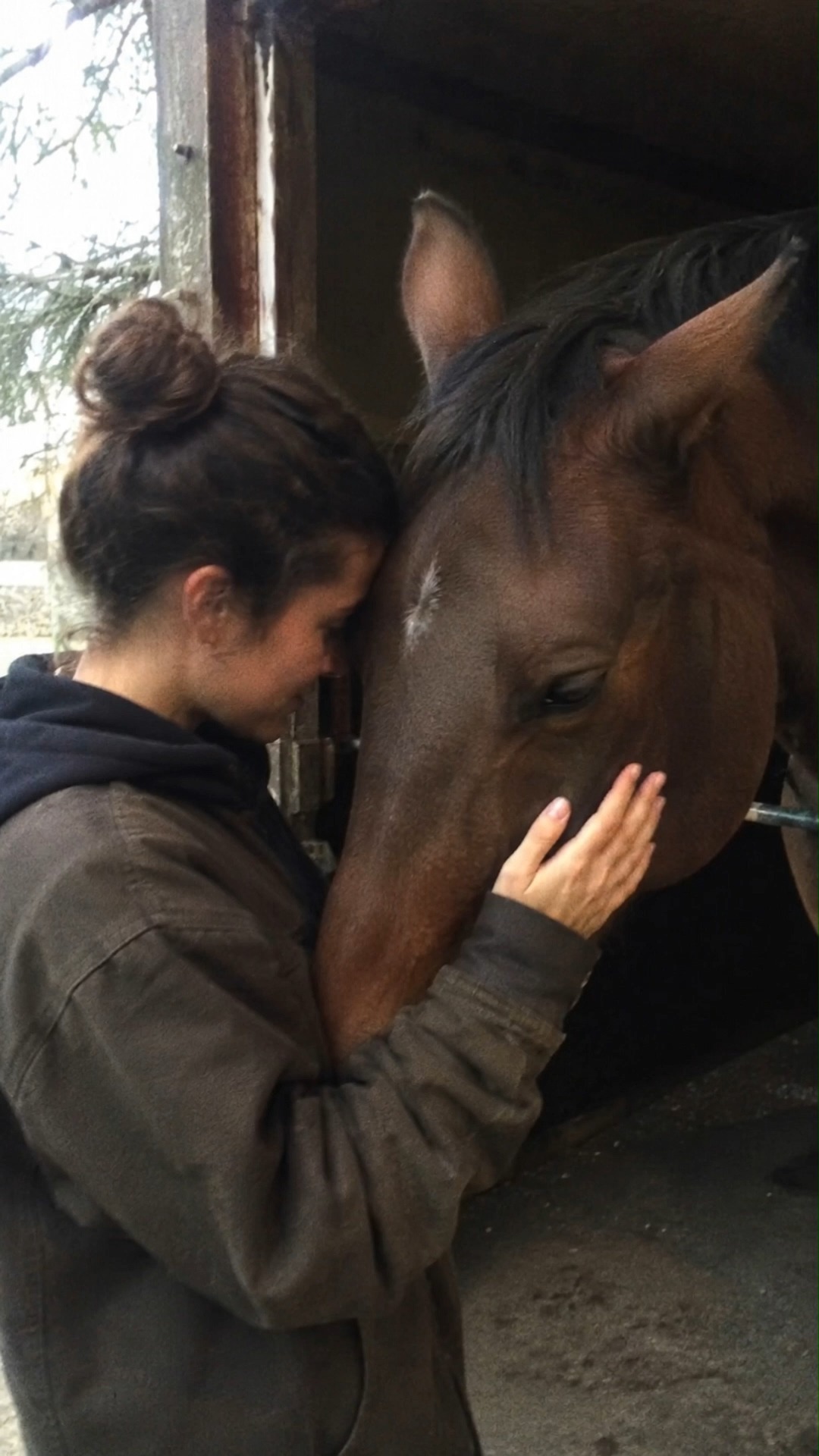 Anúncio de The Stables Horse