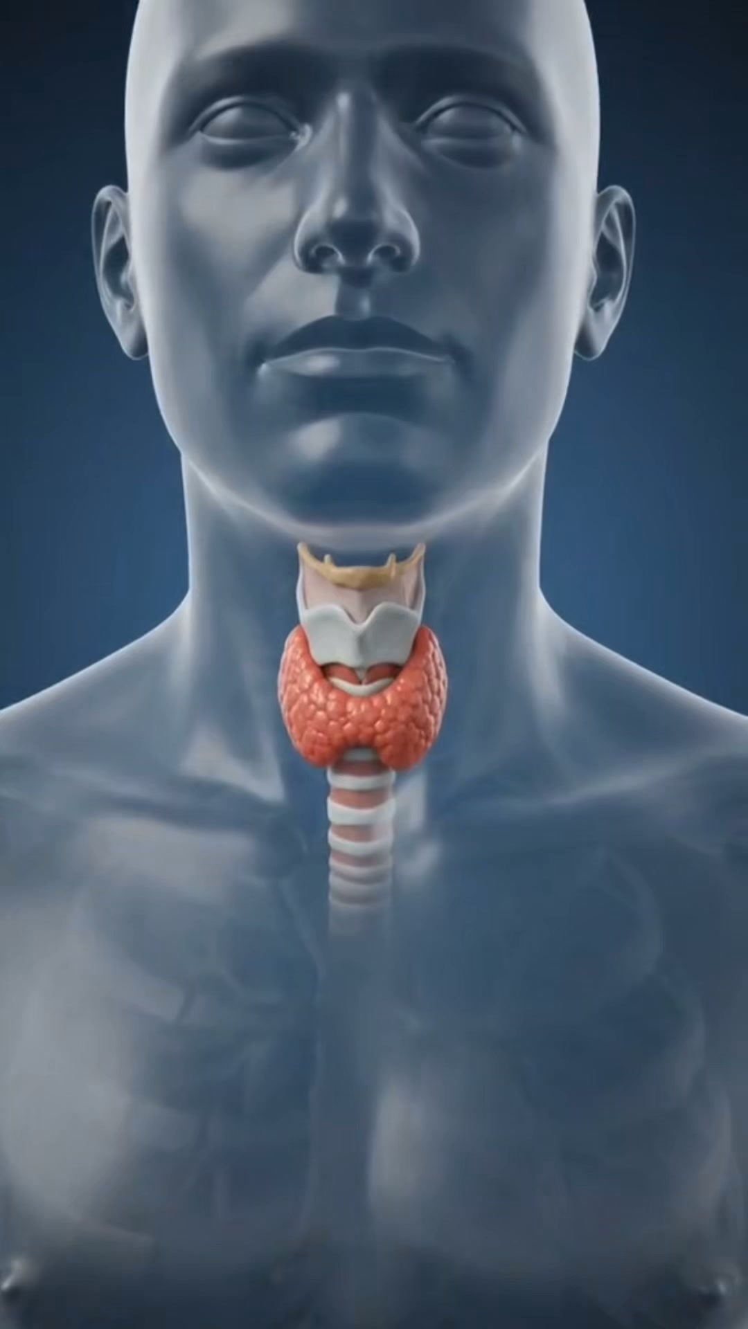 Your Symptoms Are Real. Your Labs Just Aren't Measuring It.