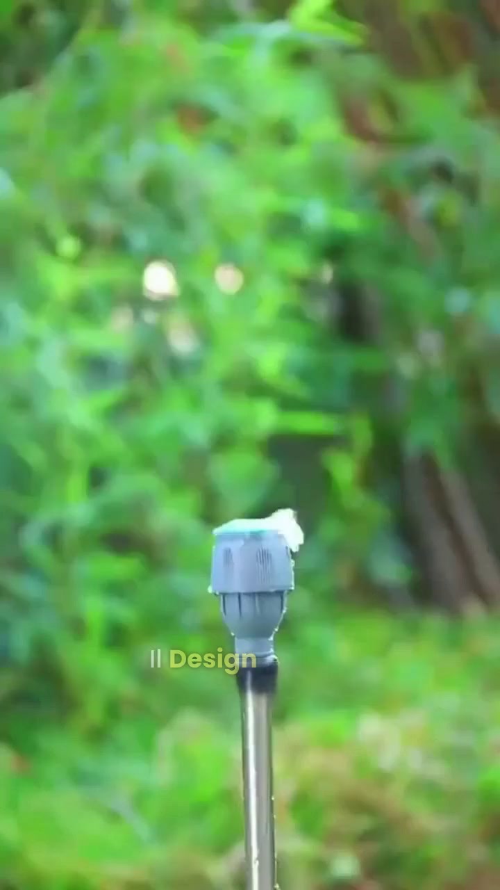 Prima: macchie secche. Dopo: verde perfetto!