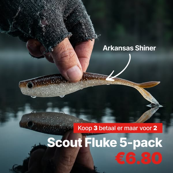 Scout Fluke Arkansas Shiner