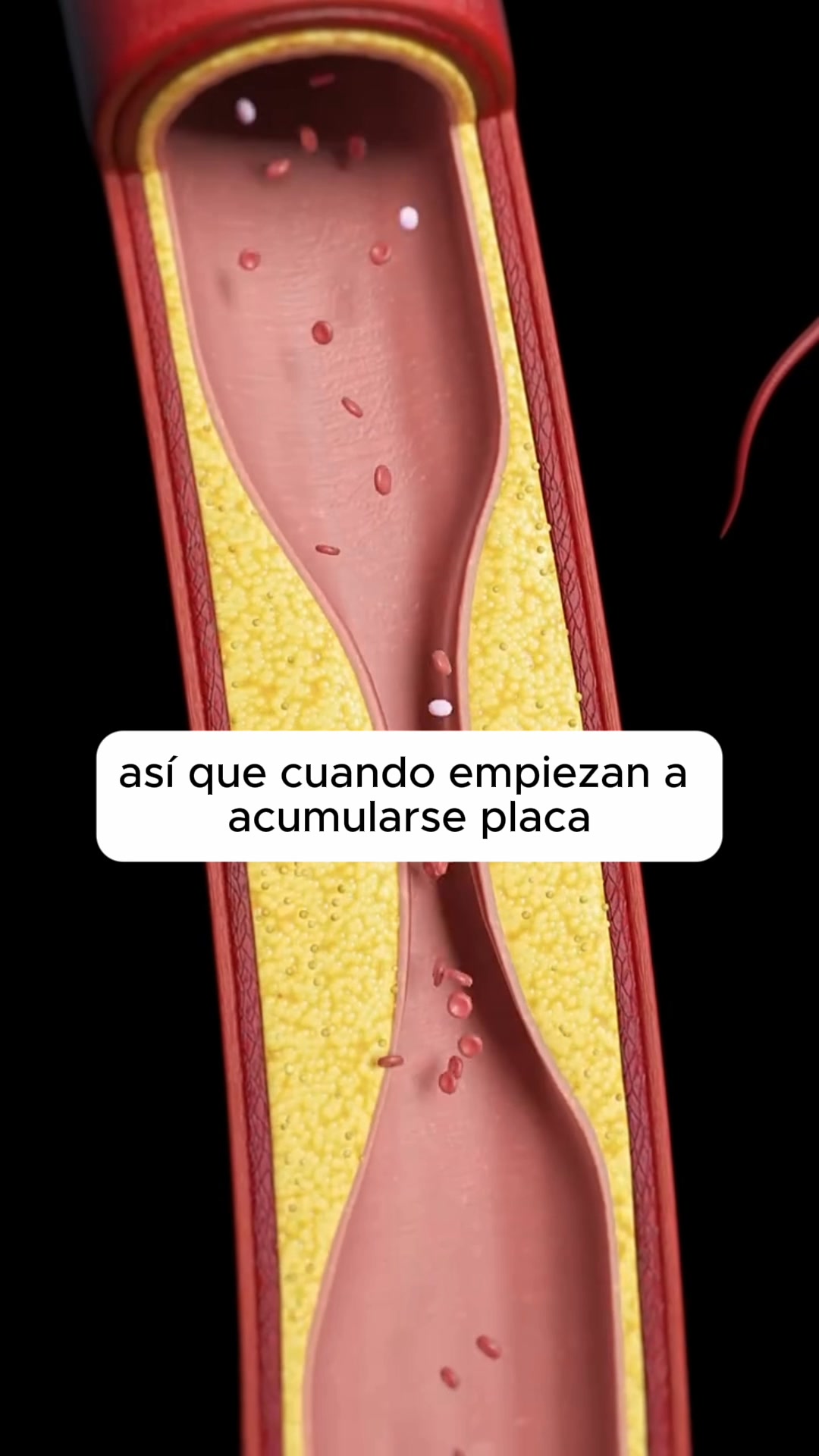 3X2 SÓLO HOY + ENVÍO GRATIS