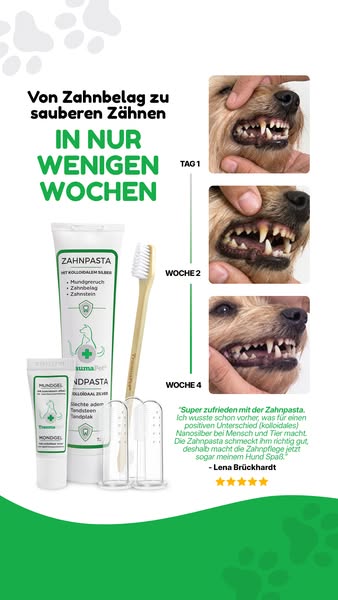 Nur das Beste für deinen Vierbeiner