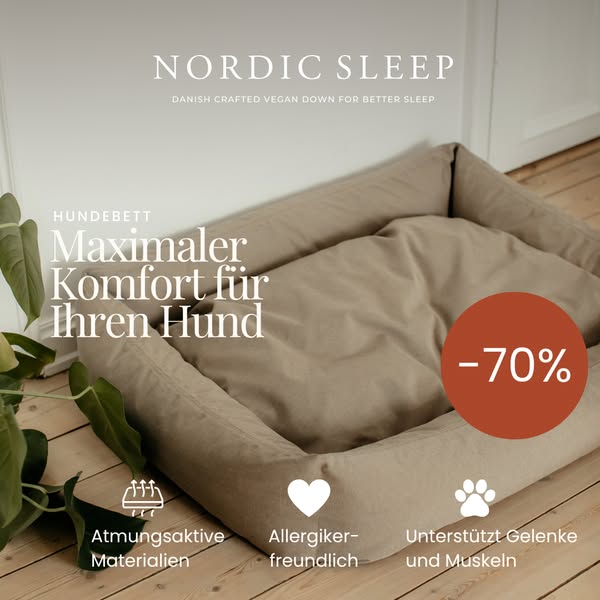 Letzte Chance: 70% sparen