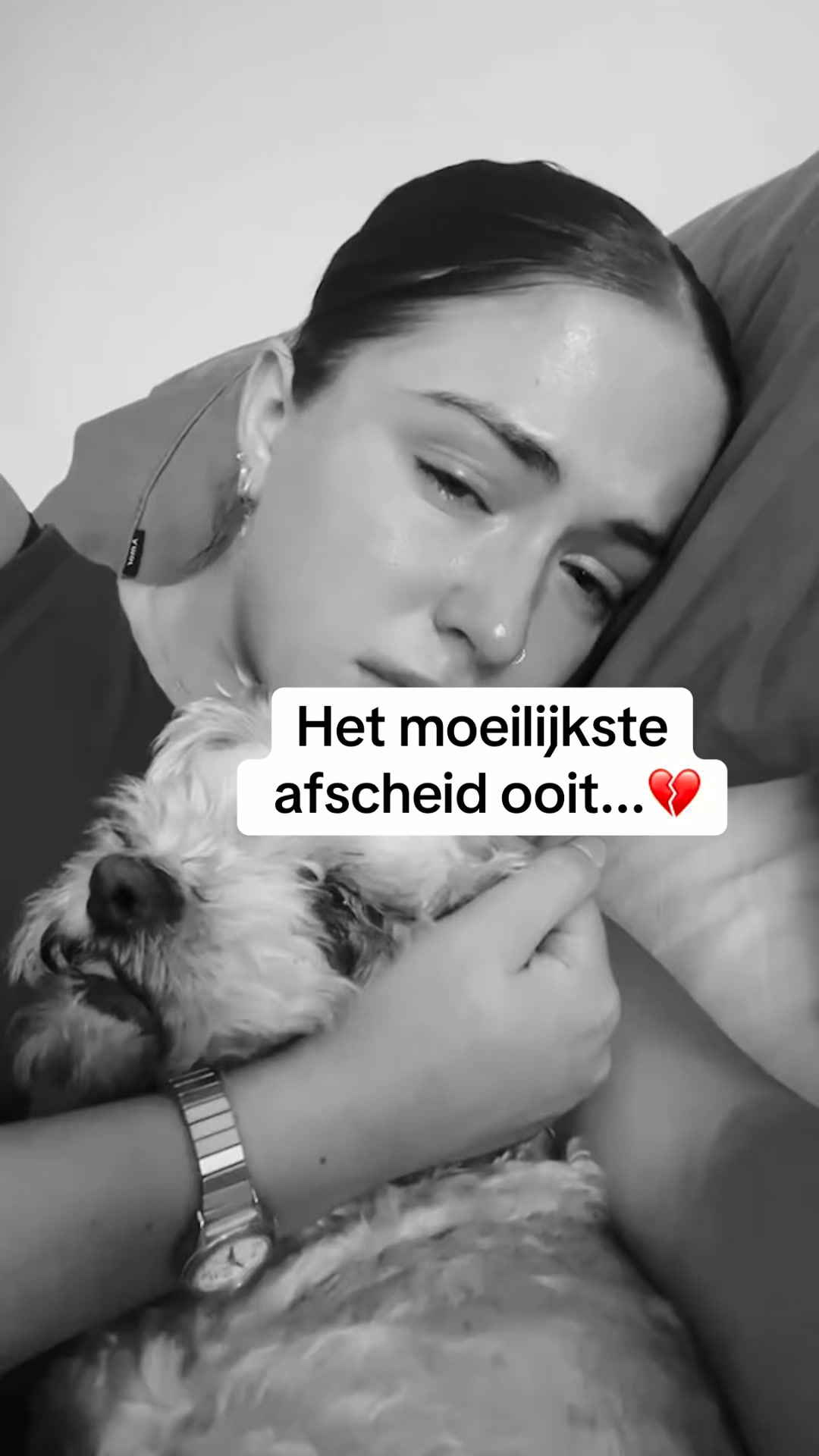 Altijd dicht bij het hart