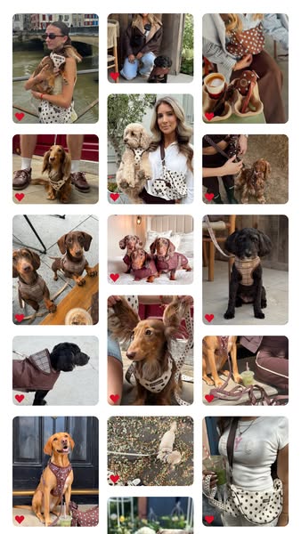Your Pup's New Favourite Brand