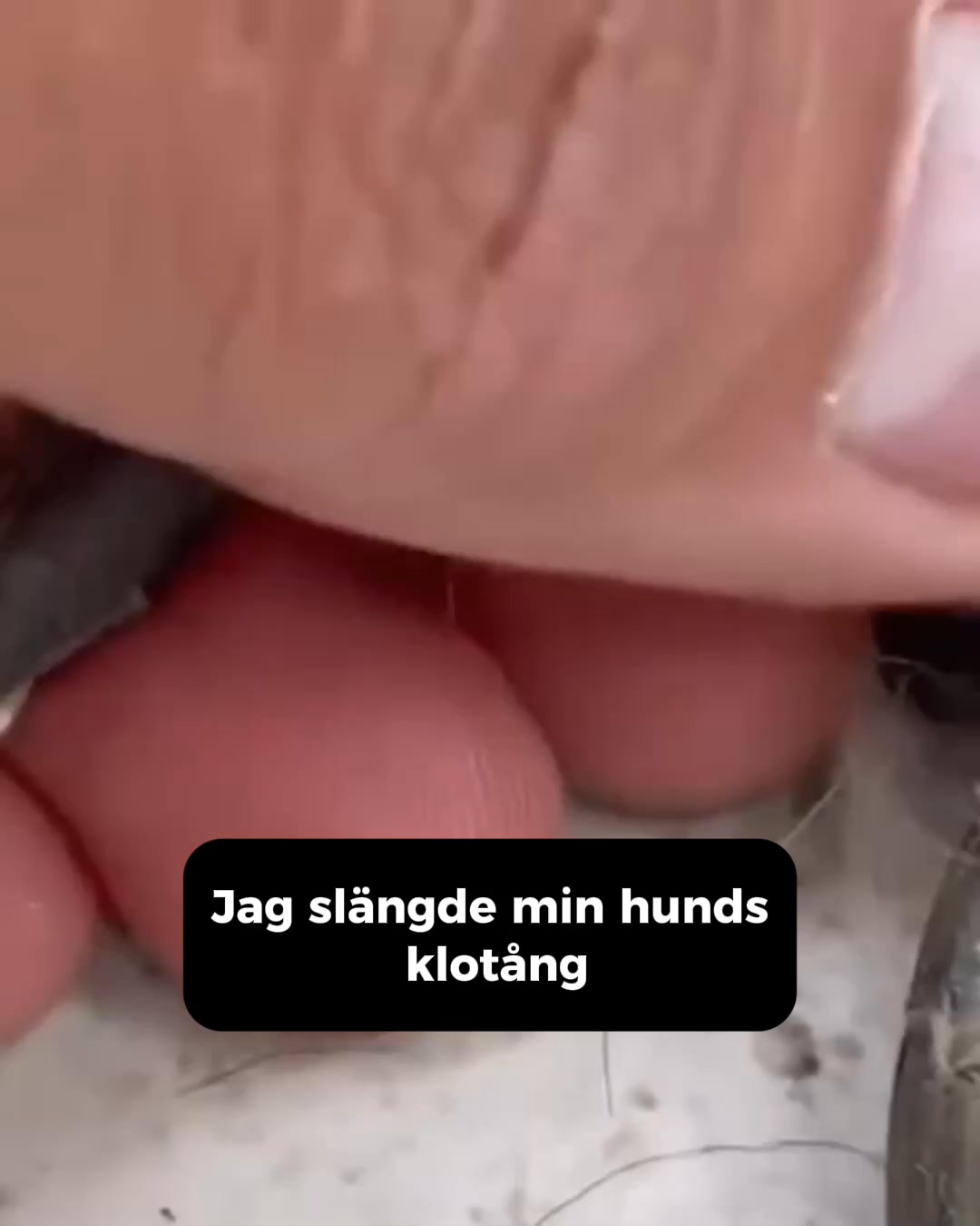 Stressfri klovård för din bästa vän!