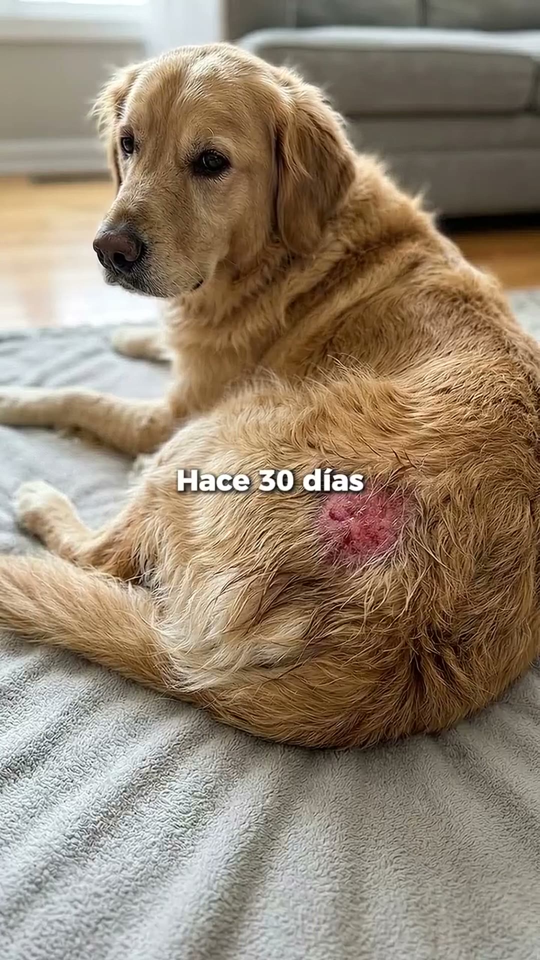 Esto es lo que uso