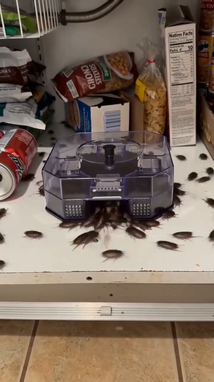Reusable No-Spray Roach Trap – Chemical-Free, Washable & Easy to Reuse