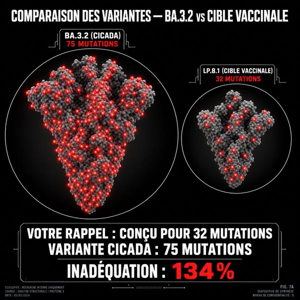 ALERTE : épidémie de COVID « Cigale » — 75 mutations — Toutes les régions de France